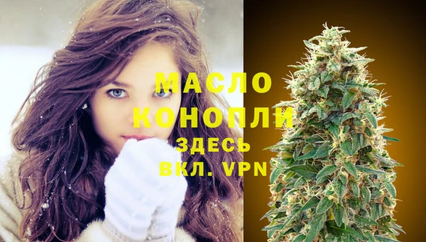 мет Елабуга
