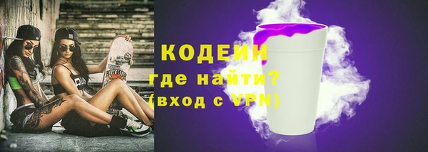 мет Елабуга
