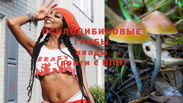 mix Ельня