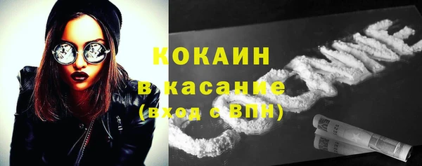 mix Ельня