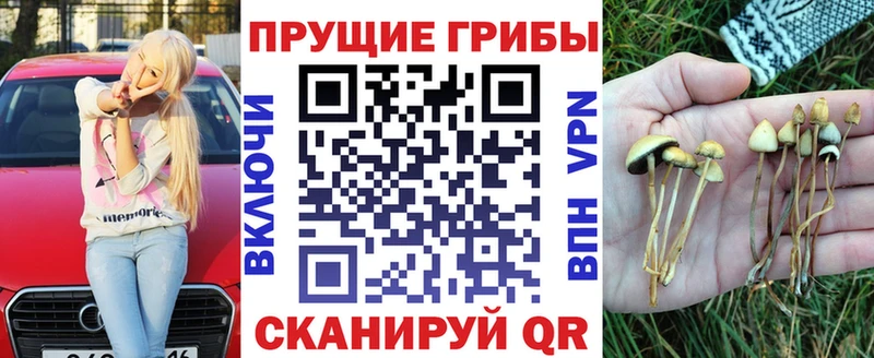 Купить  Железноводск  Галлюциногенные грибы прущие грибы 